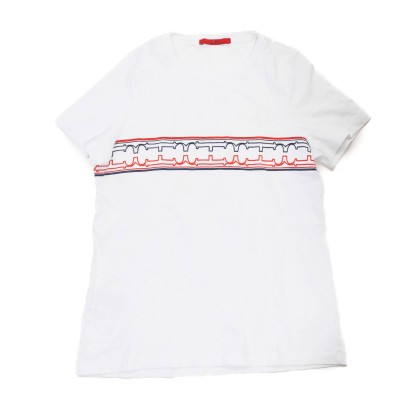 img-primary
